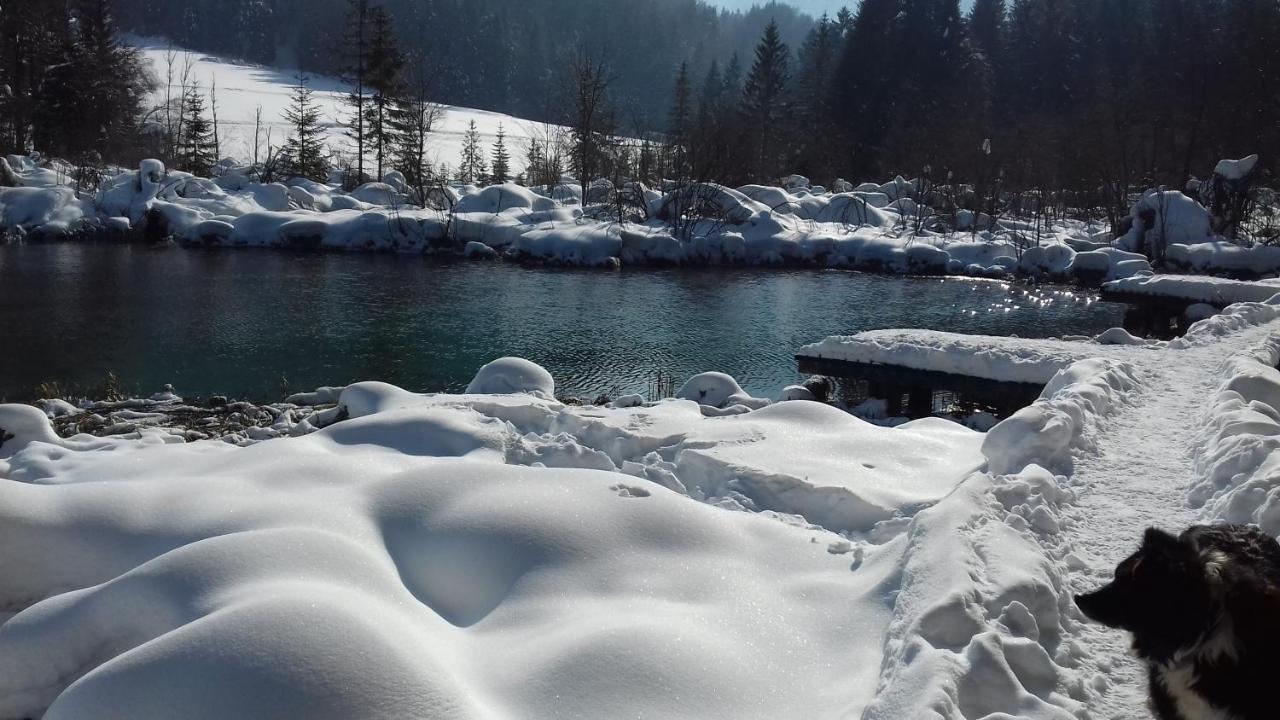 Apartma Kramar Podkoren Кранська Гора Екстер'єр фото